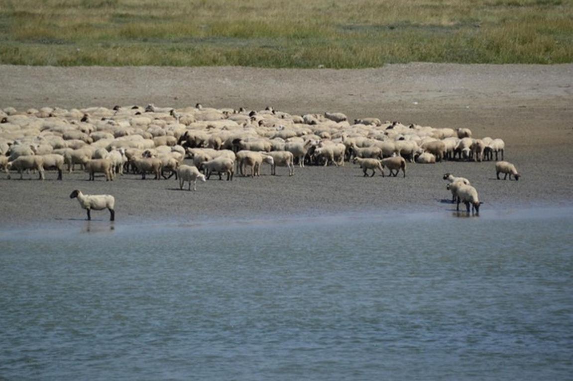 Le Bois Flotte Daire Le Crotoy Dış mekan fotoğraf